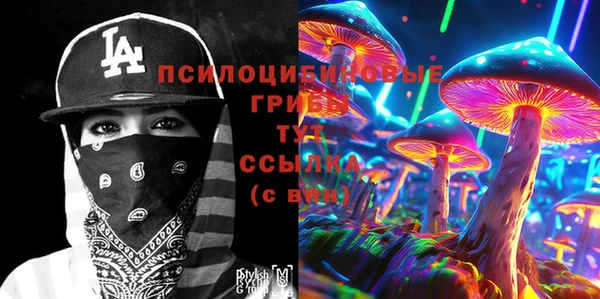 синтетический гашиш Алексин